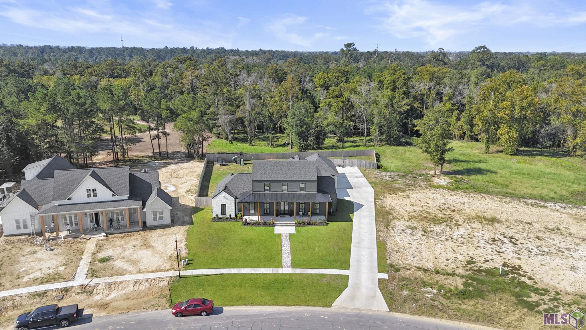 43345 Collyns Cove Prairieville, LA 70769 - Photo 43 of 47