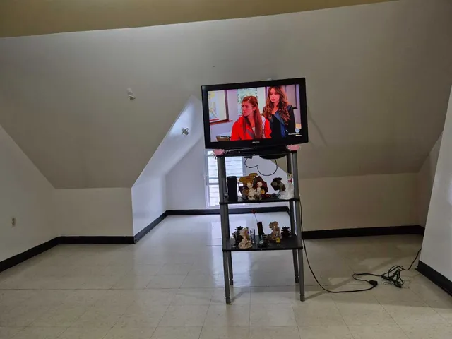 a bedroom with a bed and a potted plant