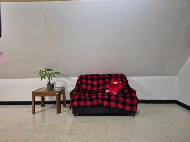 a bedroom with a bed and a shower