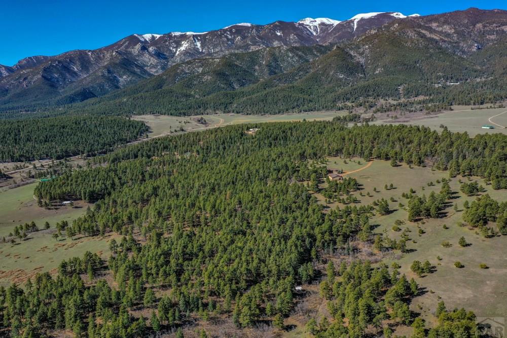 8675 State Highway Rye, CO 81069 - Photo 6 of 75