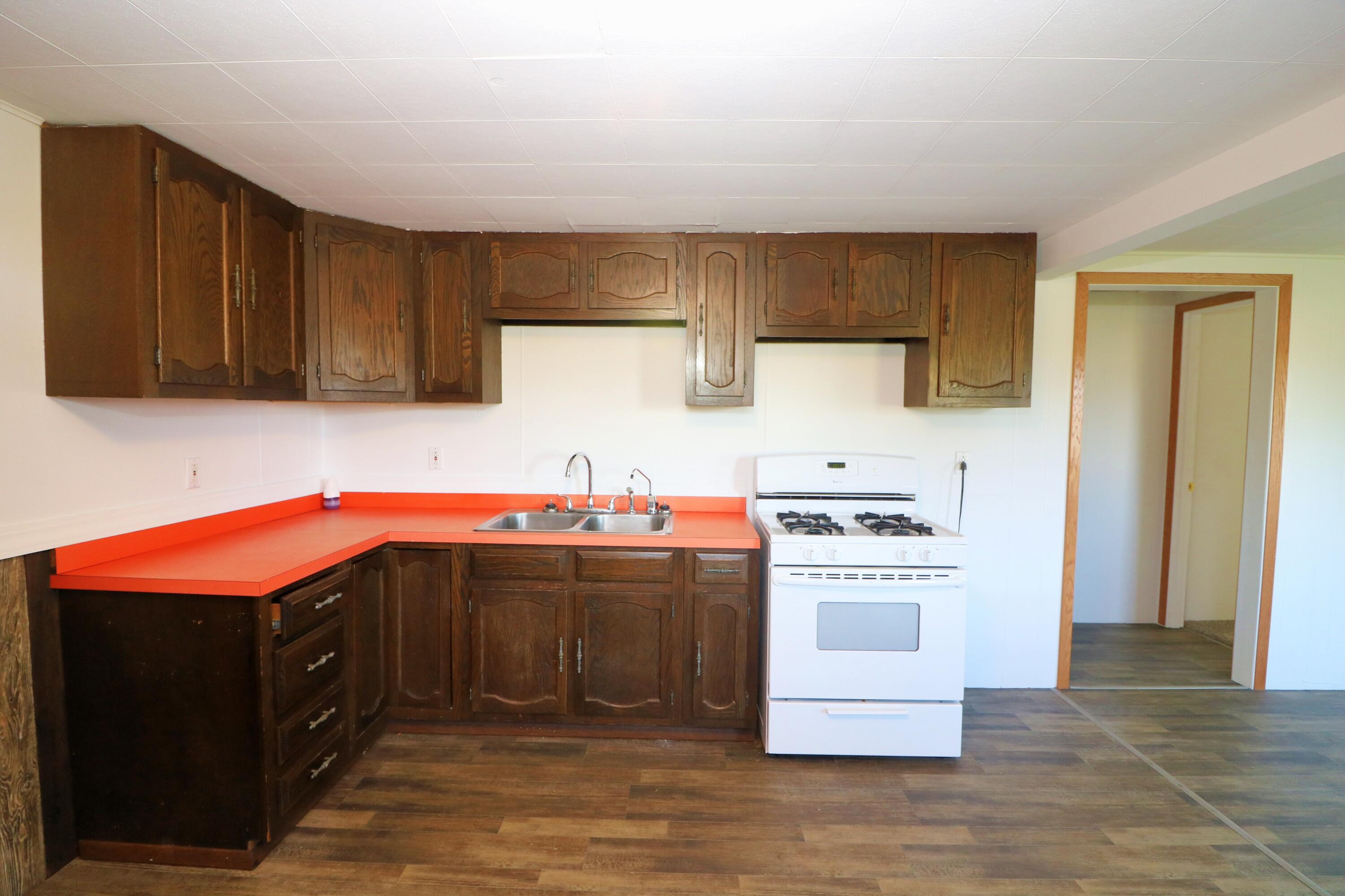 7491 County Farm Road Greenville, MI 48838 - Photo 3 of 15 Greenhoe Kitchen close up1