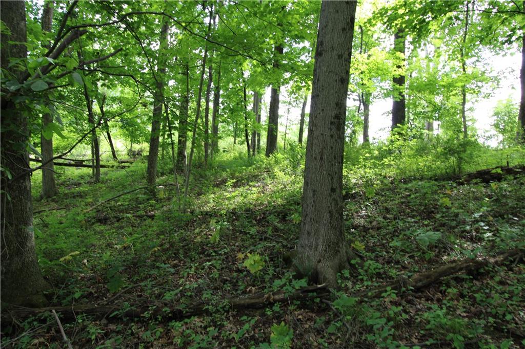 0 Campground Road West Middlesex, PA 16159 - Photo 8 of 12