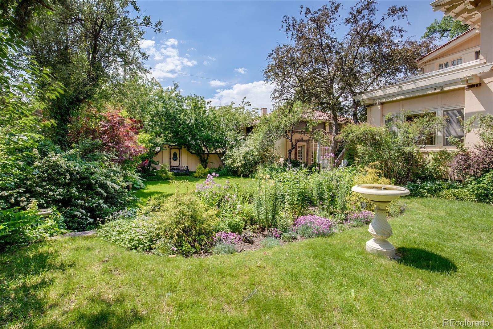 199 Lafayette Street Denver, CO 80218 - Photo 41 of 49 a view of a garden with plants and large trees