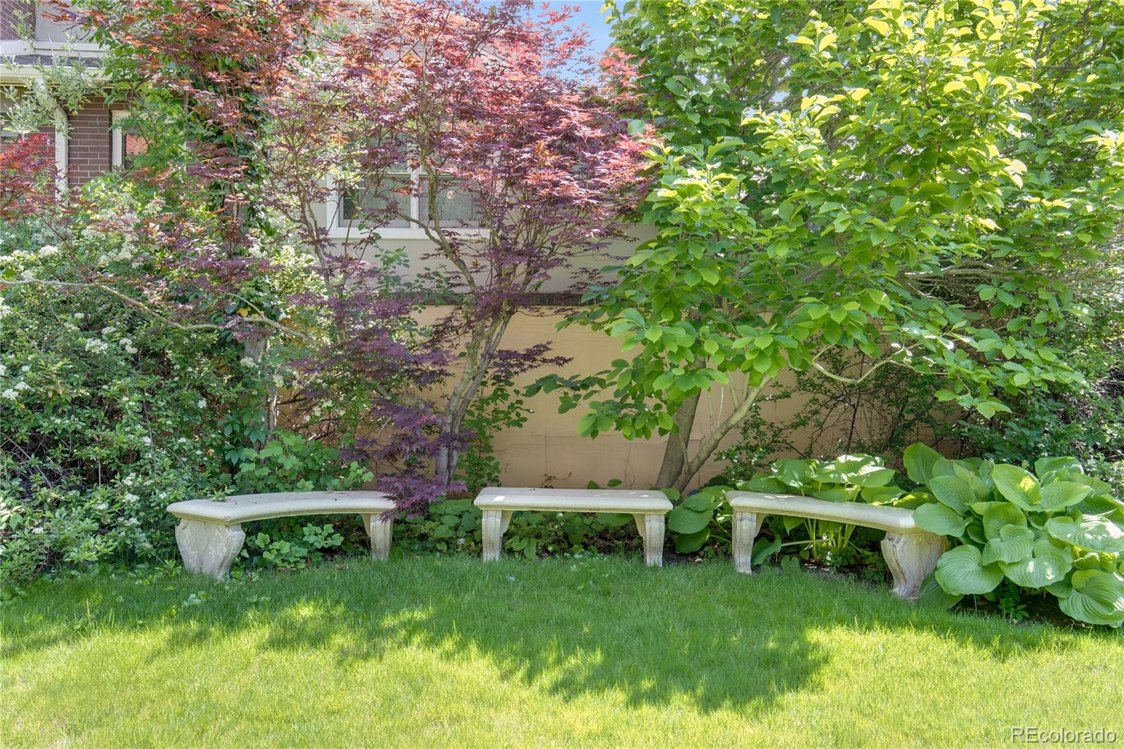 199 Lafayette Street Denver, CO 80218 - Photo 43 of 49 a garden with trees in the background
