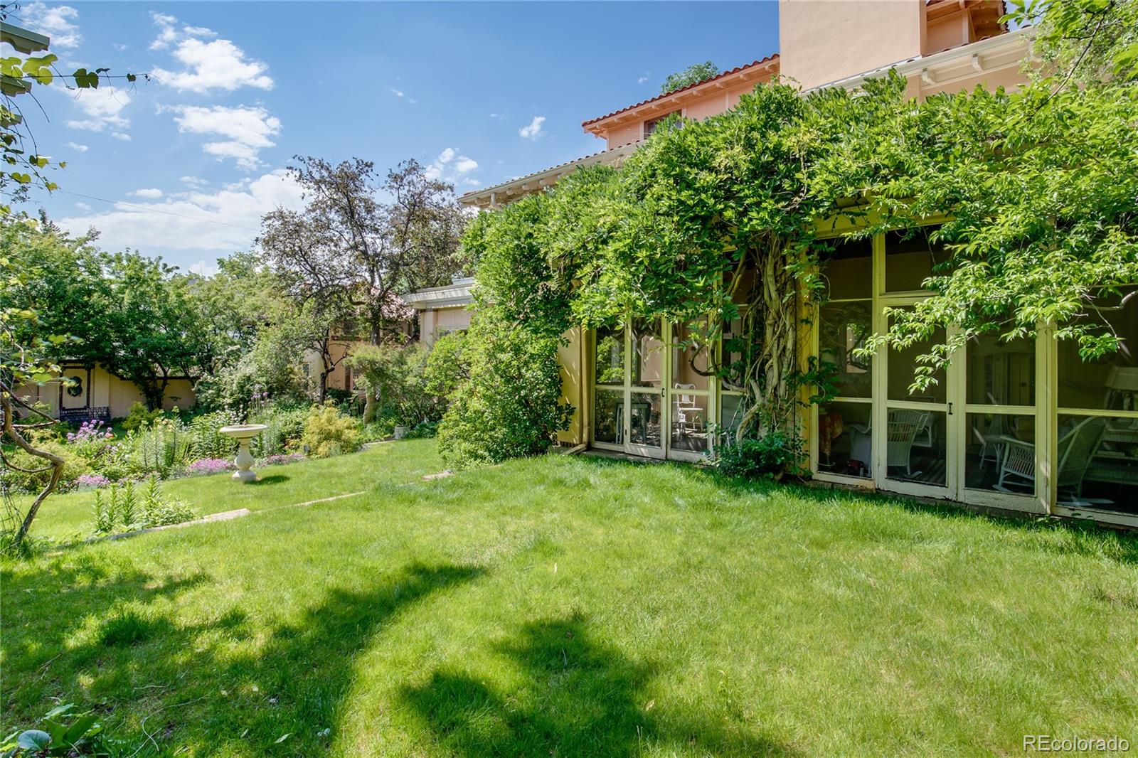 199 Lafayette Street Denver, CO 80218 - Photo 48 of 49 a view of a backyard with plants and large trees