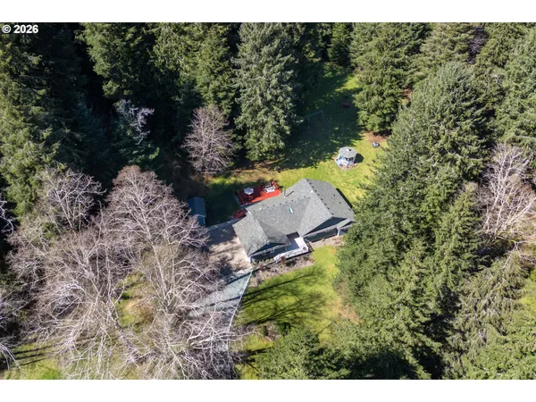 a view of a forest with a mountain and a forest