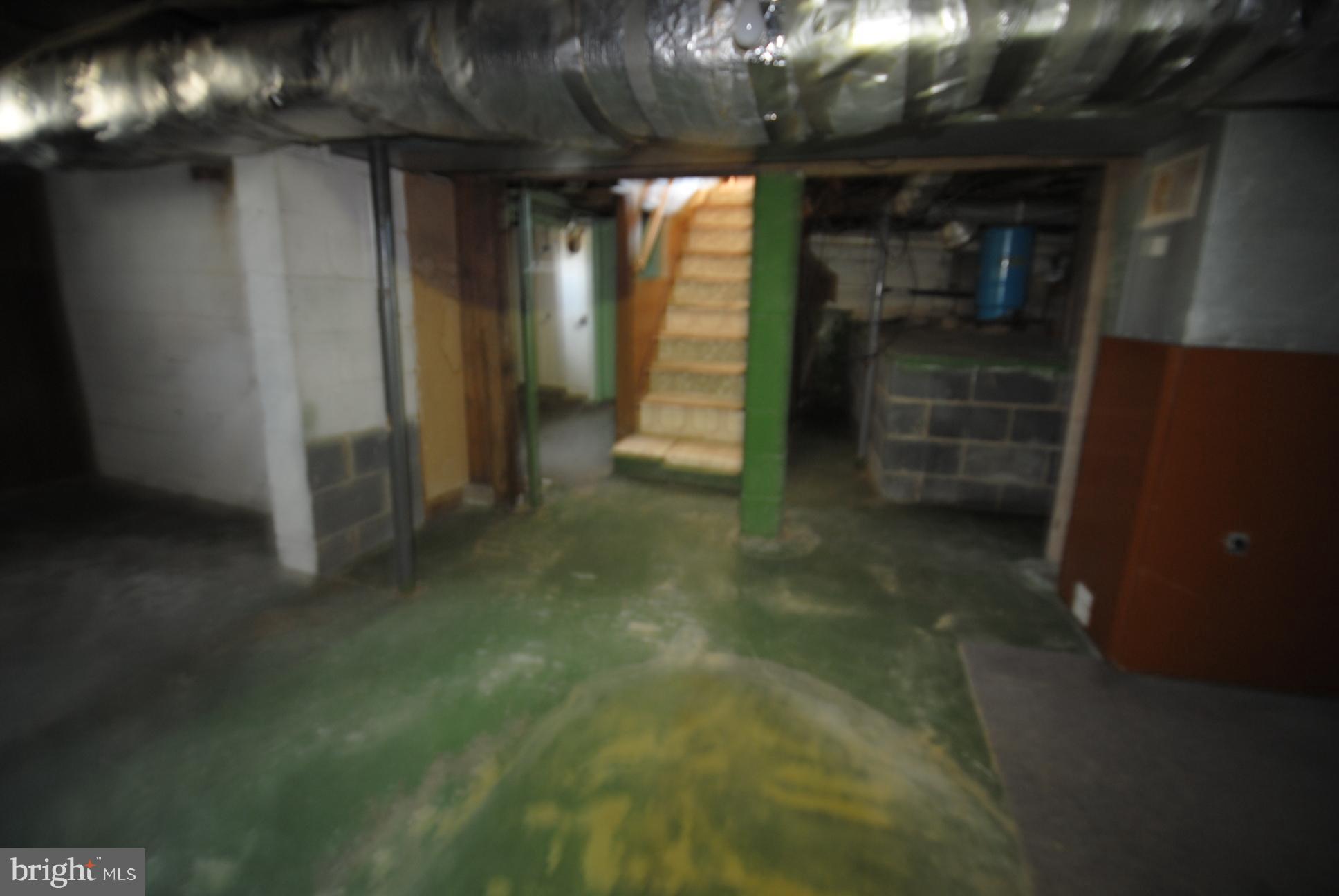 210 Bufflick Road Winchester, VA 22602 - Photo 23 of 27 Basement