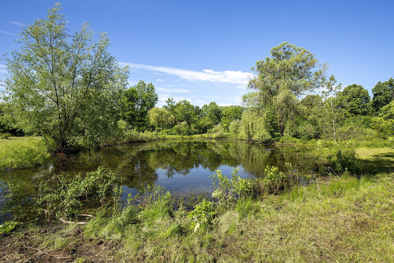 3000 Telegraph Road Bannockburn, IL 60015 - Photo 15 of 18