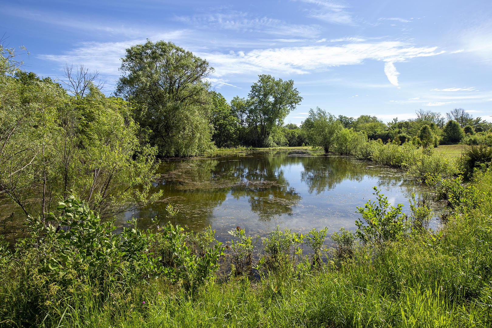 3000 Telegraph Road Bannockburn, IL 60015 - Photo 16 of 18 a view of a lake with outside area