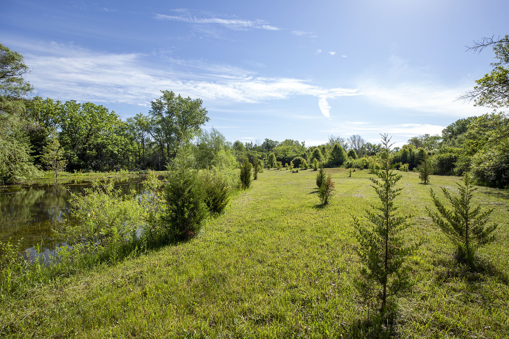 3000 Telegraph Road Bannockburn, IL 60015 - Photo 17 of 18 a view of a lake with lots of trees