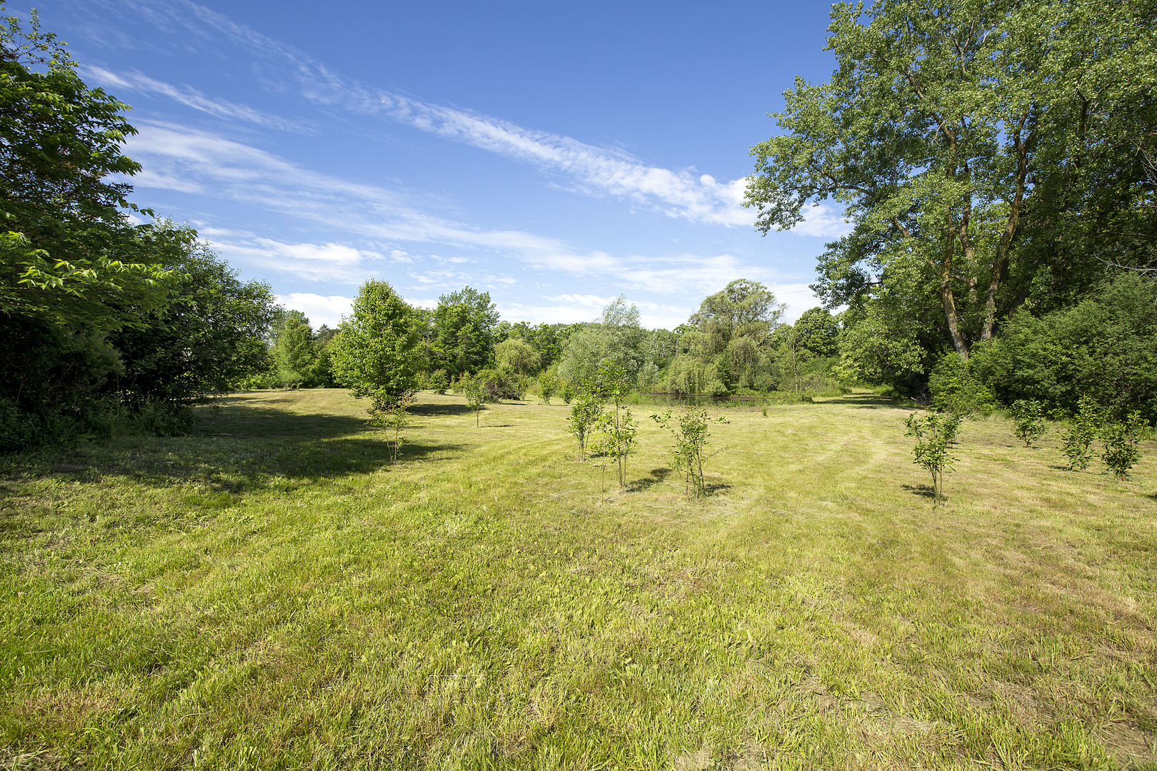 3000 Telegraph Road Bannockburn, IL 60015 - Photo 18 of 18 a view of swimming pool with an outdoor space
