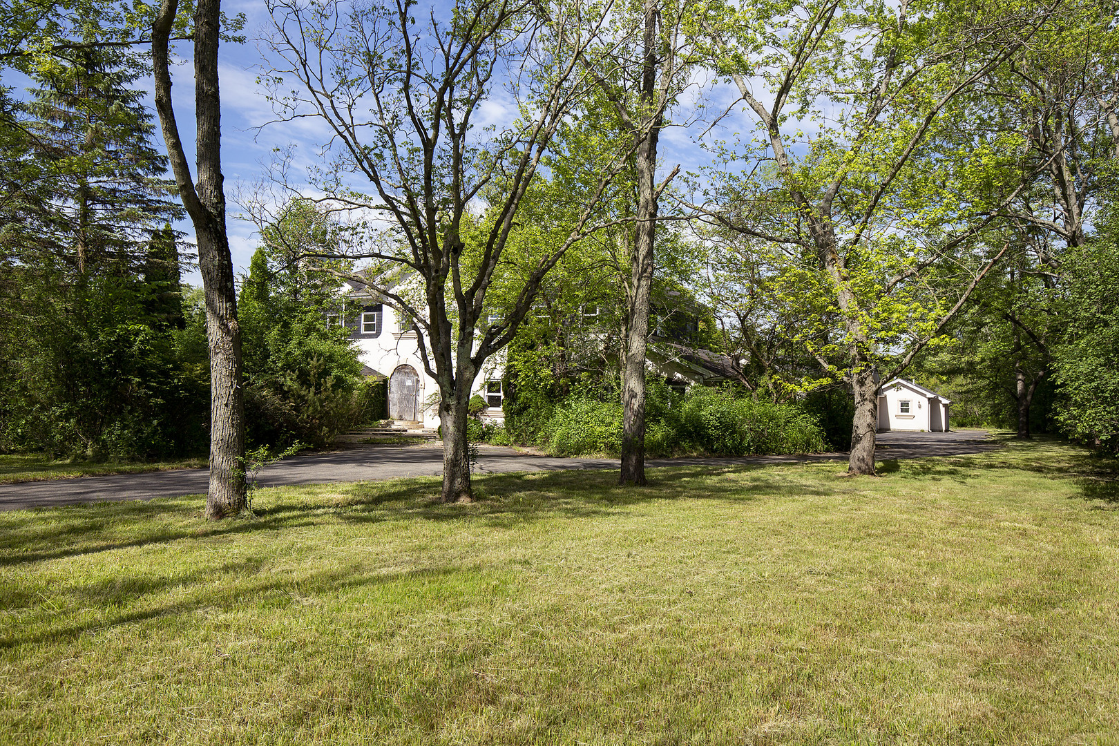 3000 Telegraph Road Bannockburn, IL 60015 - Photo 4 of 18 a view of a yard with a tree