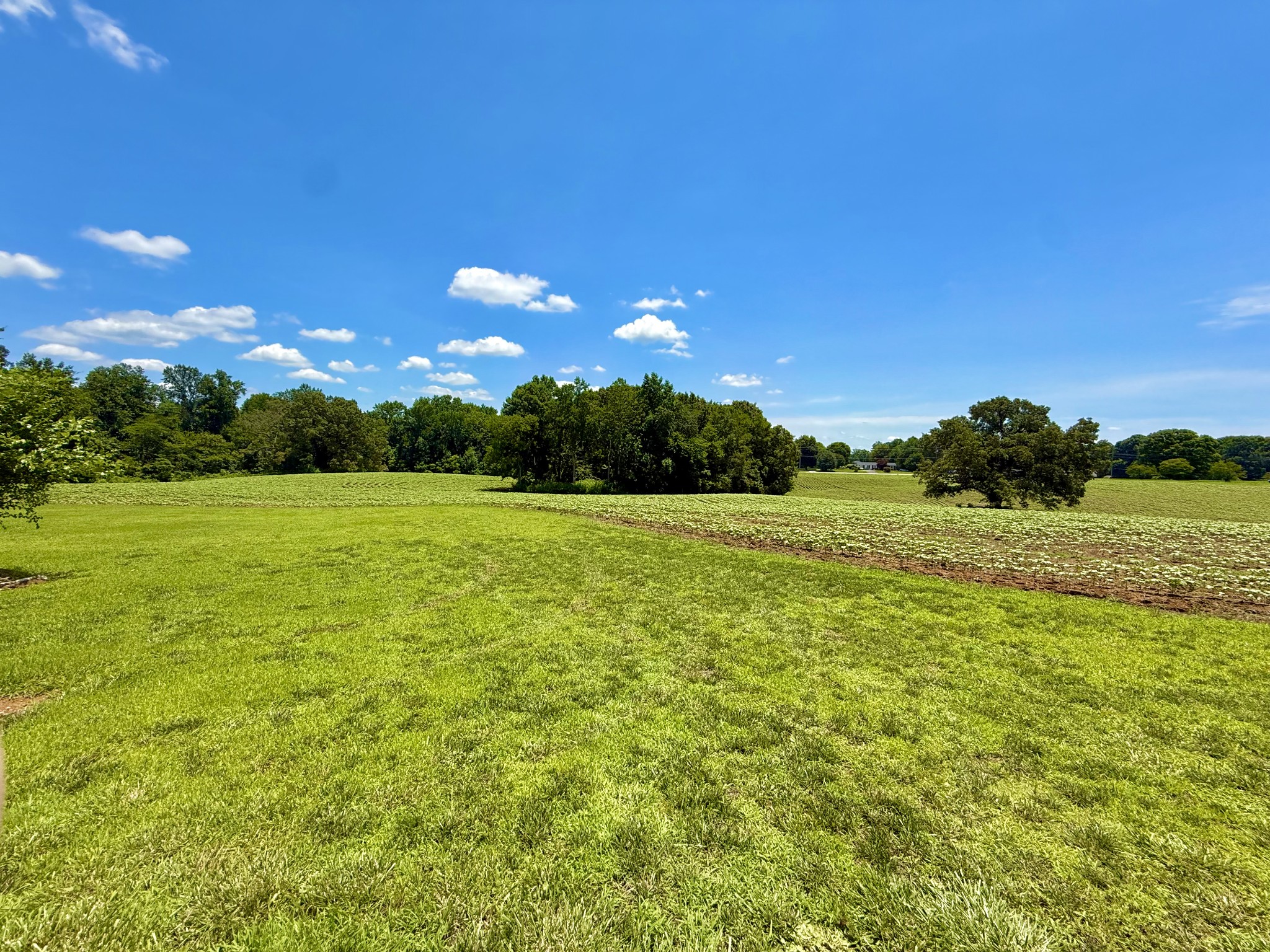 8 Lambs Ferry Road Leoma, TN 38468 - Photo 25 of 53