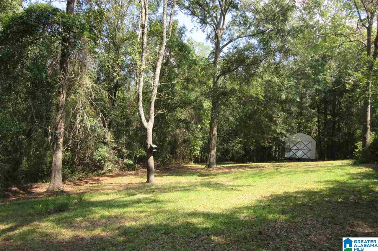 685 County Road 503 Verbena, AL 36091 - Photo 41 of 49