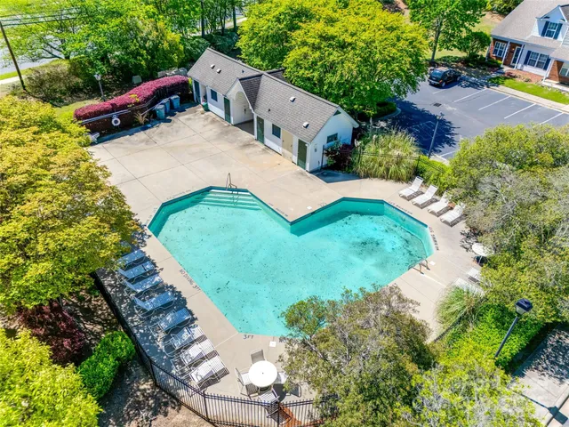 a view of a yard with plants and large trees