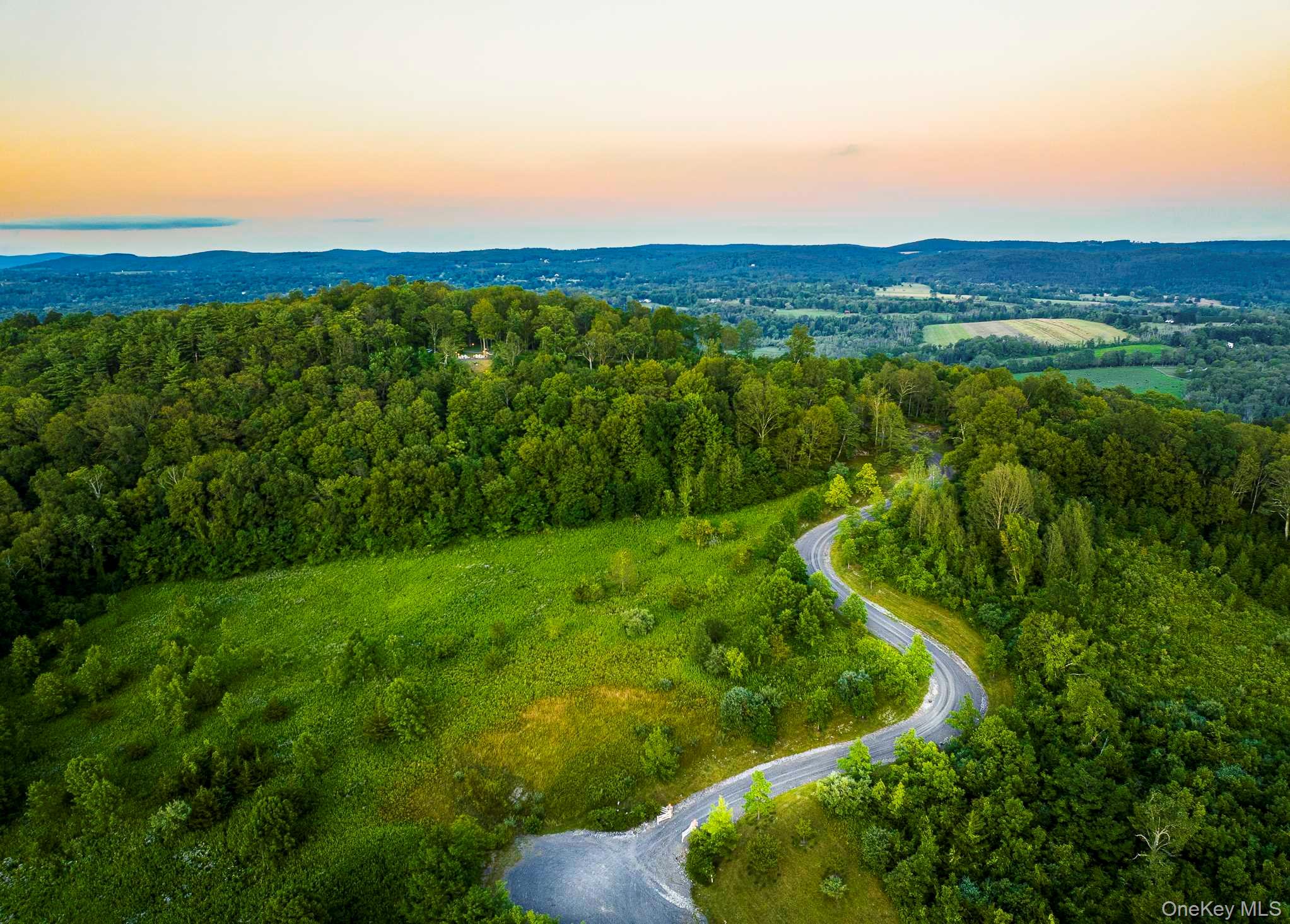 108 Westerly Ridge Drive Amenia, NY 12501 - Photo 11 of 16 a view of a lush green outdoor space with a swimming pool and valleys in the background