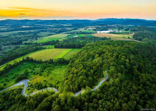 a view of a lush green field