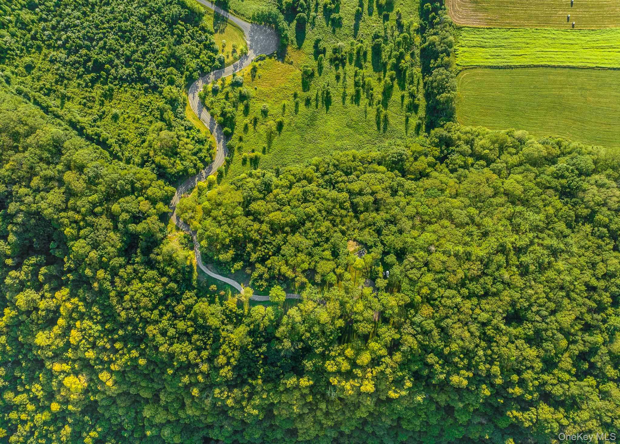 108 Westerly Ridge Drive Amenia, NY 12501 - Photo 16 of 16 a view of a garden