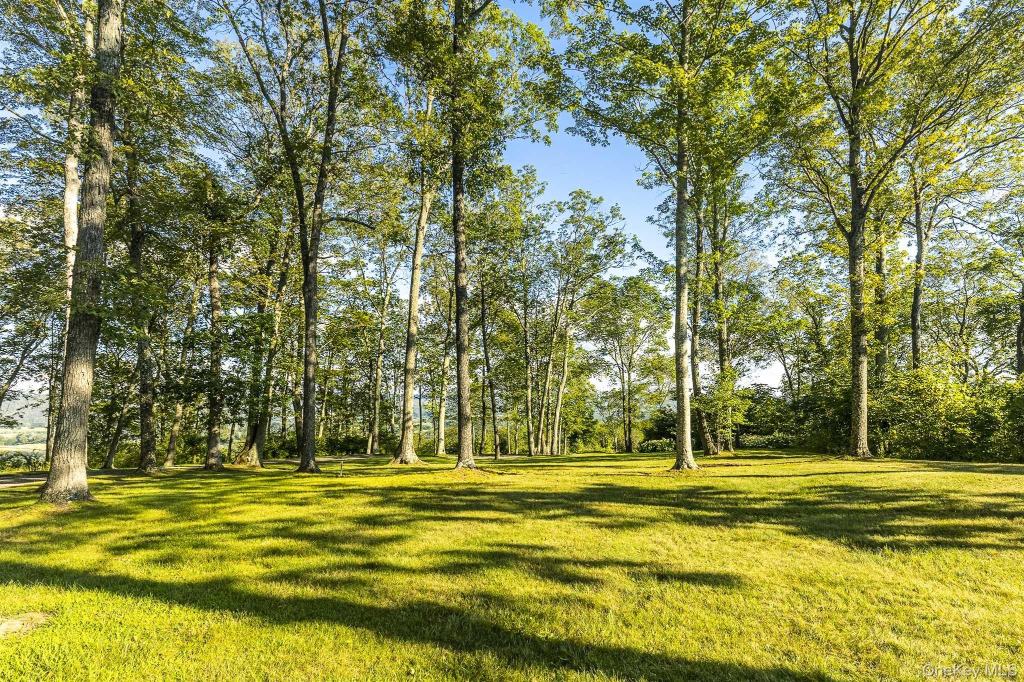 108 Westerly Ridge Drive Amenia, NY 12501 - Photo 5 of 16 a view of swimming pool with outdoor seating and trees