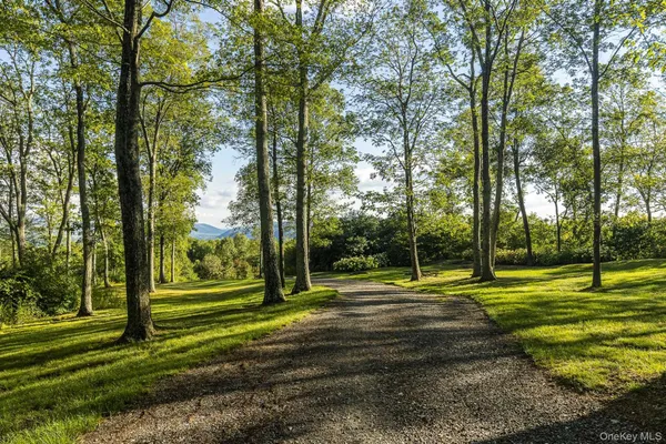 a view of a park with large trees