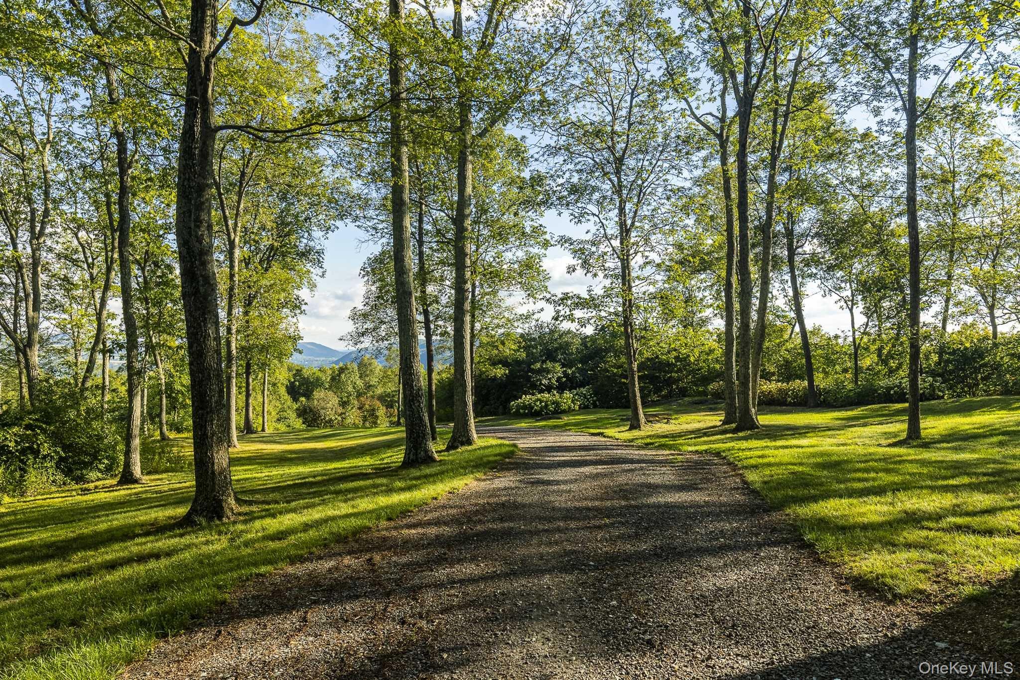 108 Westerly Ridge Drive Amenia, NY 12501 - Photo 7 of 16 a view of a park with large trees