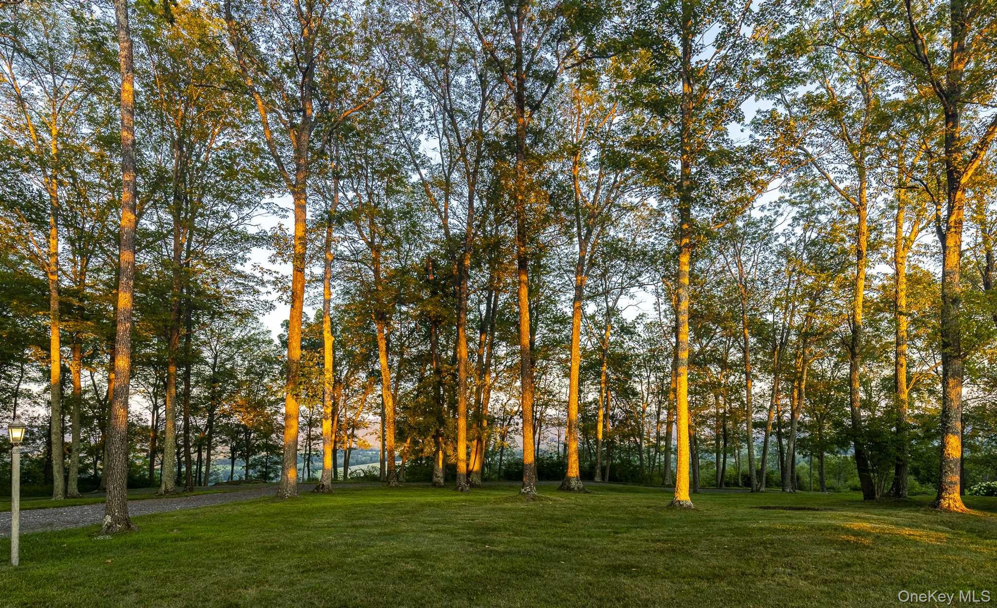 108 Westerly Ridge Drive Amenia, NY 12501 - Photo 9 of 16 a garden view