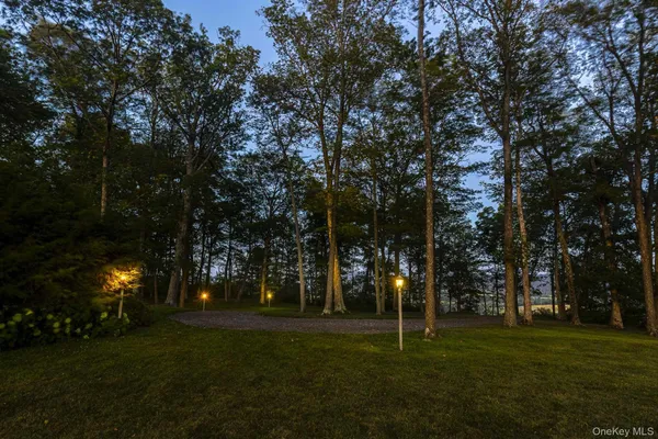 a garden view with tall trees