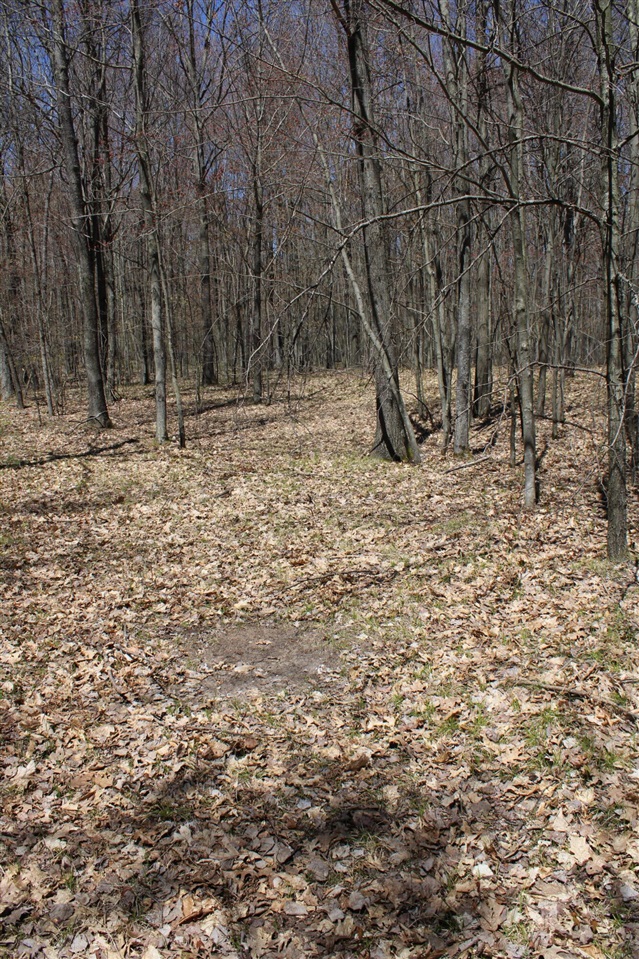 11401 Little George Lake Road Gladwin, MI 48624 - Photo 42 of 72