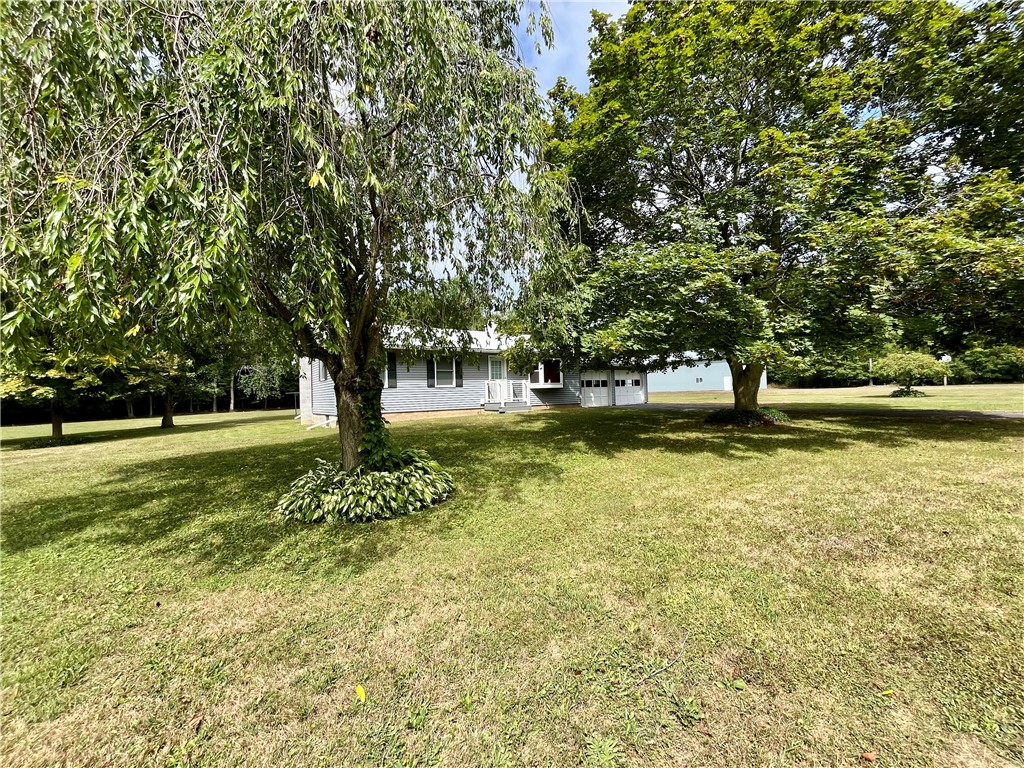 12071 Salter-Colvin Road Butler, NY 14590 - Photo 39 of 43