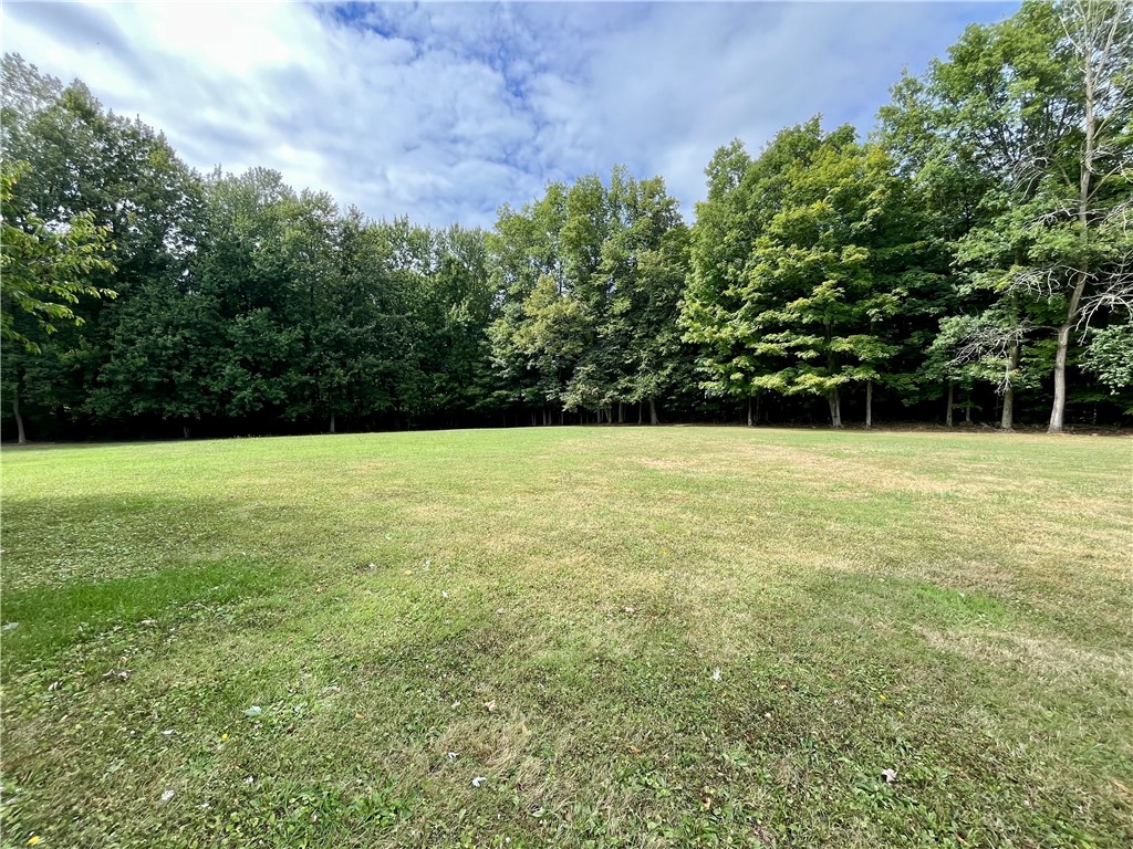 12071 Salter-Colvin Road Butler, NY 14590 - Photo 5 of 43 Beautiful lawn