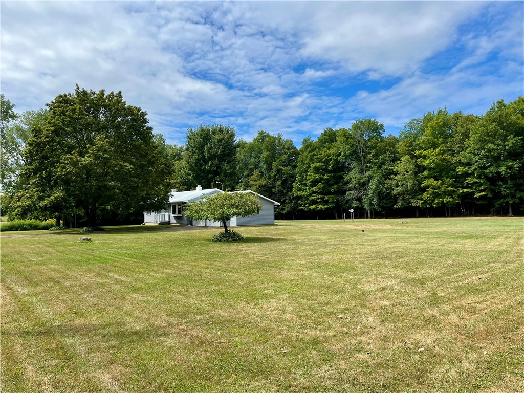 12071 Salter-Colvin Road Butler, NY 14590 - Photo 6 of 43