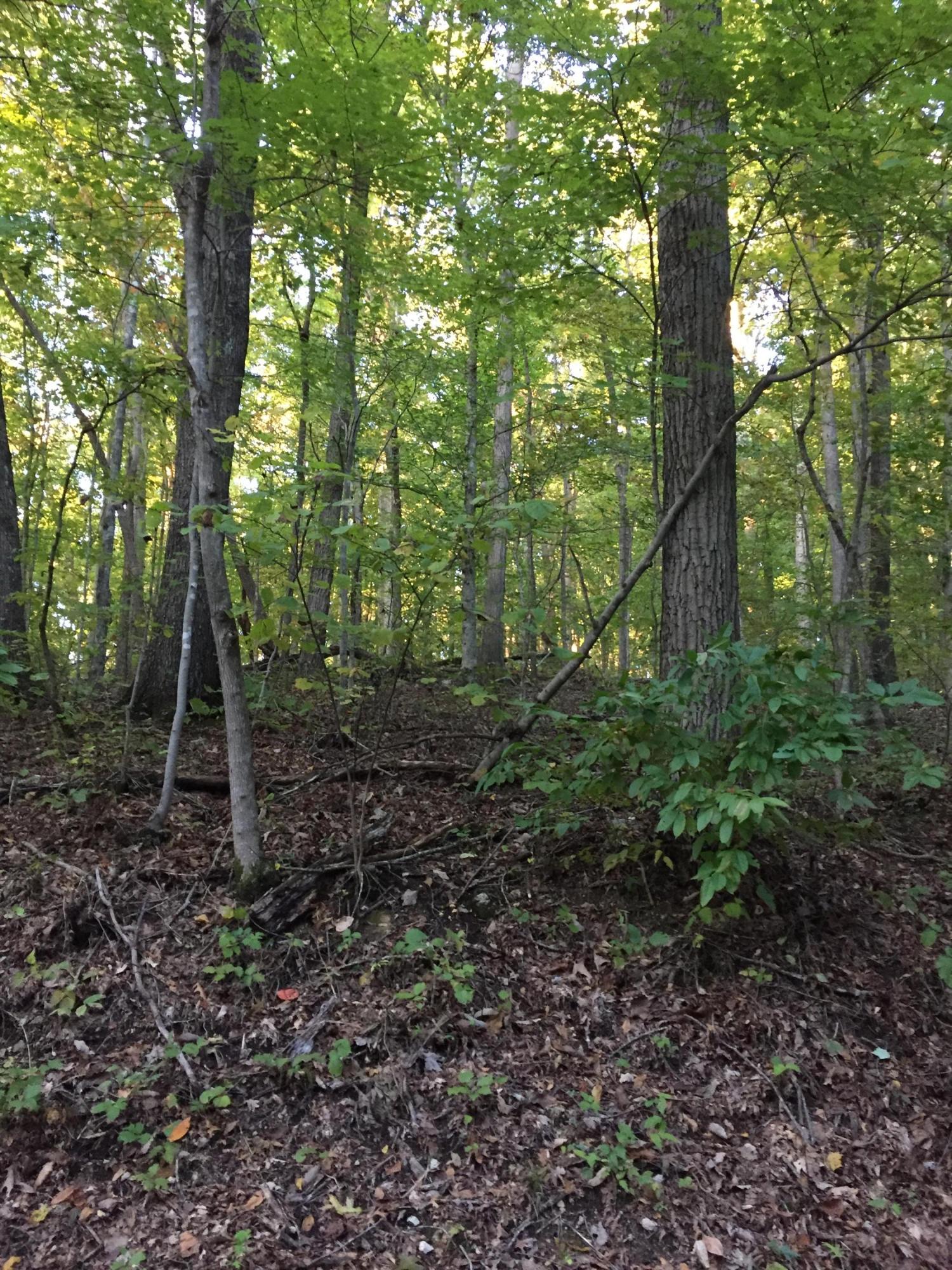 Elm Ridge Road Washburn, TN 37888 - Photo 1 of 13 IMG_1142