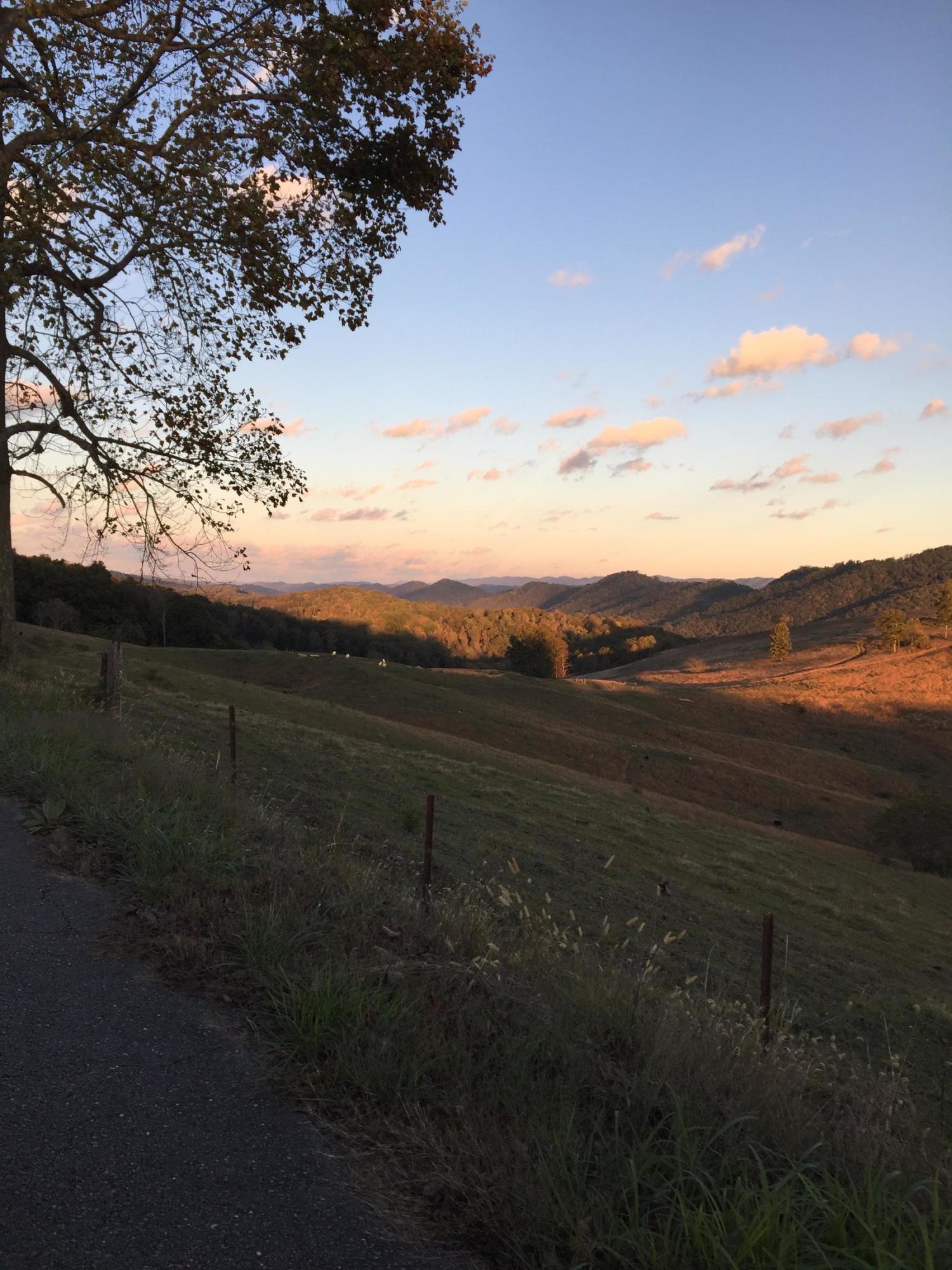 Elm Ridge Road Washburn, TN 37888 - Photo 13 of 13 IMG_1170