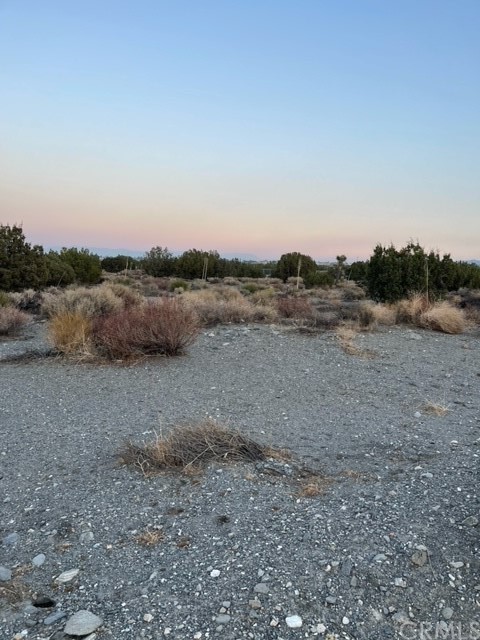 a view of a dry field with trees in the background