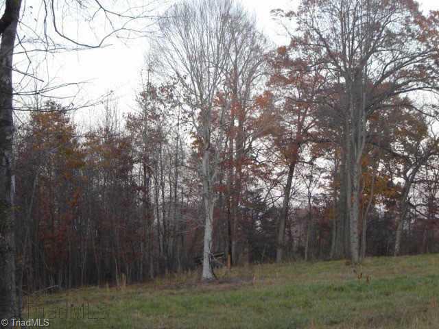 Lot #6 Lindsey Bridge Road Madison, NC 27025 - Photo 1 of 3 Exterior Front.
