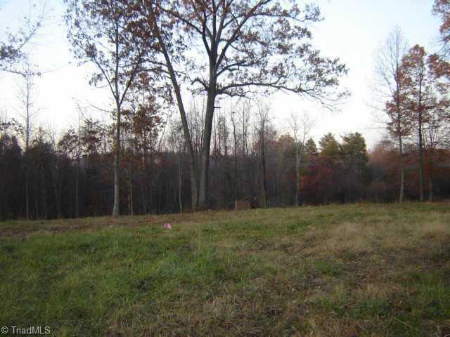 Lot #6 Lindsey Bridge Road Madison, NC 27025 - Photo 3 of 3 Other.