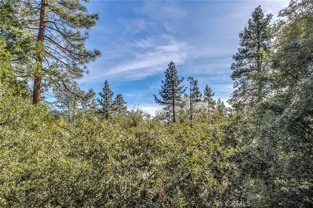 $45,000 | 0 Jeffery Pine Road, Idyllwild, CA 92549