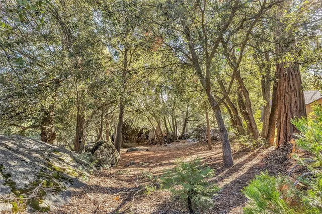 a view of outdoor space and yard