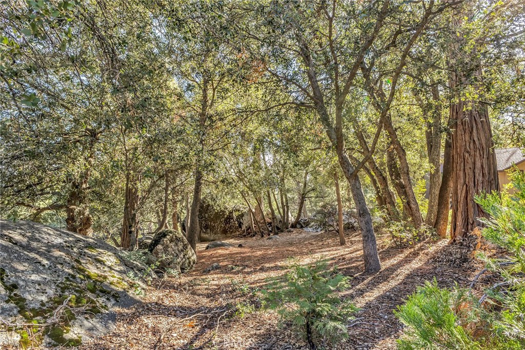 0 Jeffery Pine Road Idyllwild, CA 92549 - Photo 2 of 8 a view of outdoor space and yard