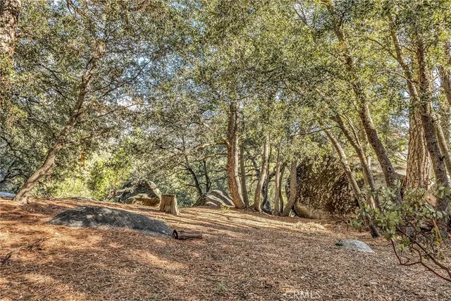 a view of a yard with a trees