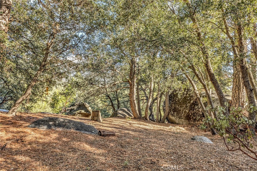 0 Jeffery Pine Road Idyllwild, CA 92549 - Photo 3 of 8 a view of a yard with a trees