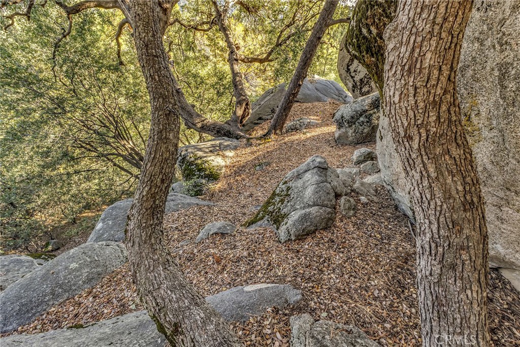 0 Jeffery Pine Road Idyllwild, CA 92549 - Photo 6 of 8 a view of a yard with large trees