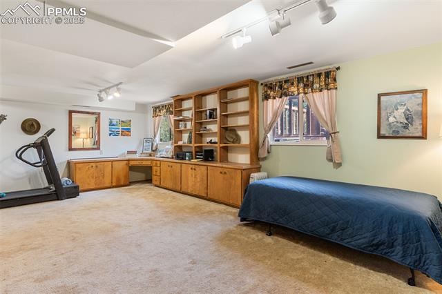5580 Moosa Road Cascade, CO 80809 - Photo 27 of 35 Bedroom with track lighting, multiple windows, light colored carpet, and a desk