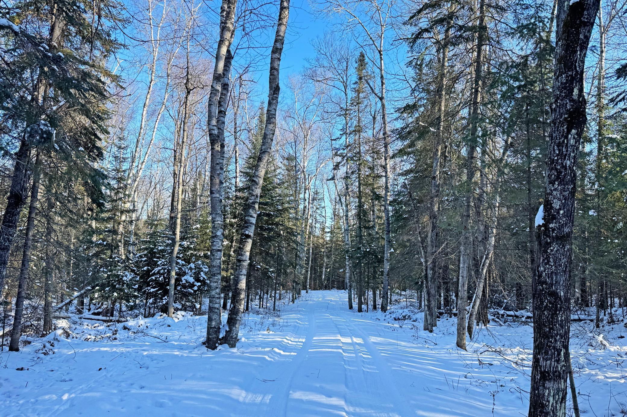 26810 North Hart Lake Road Pengilly, MN 55775 - Photo 25 of 69