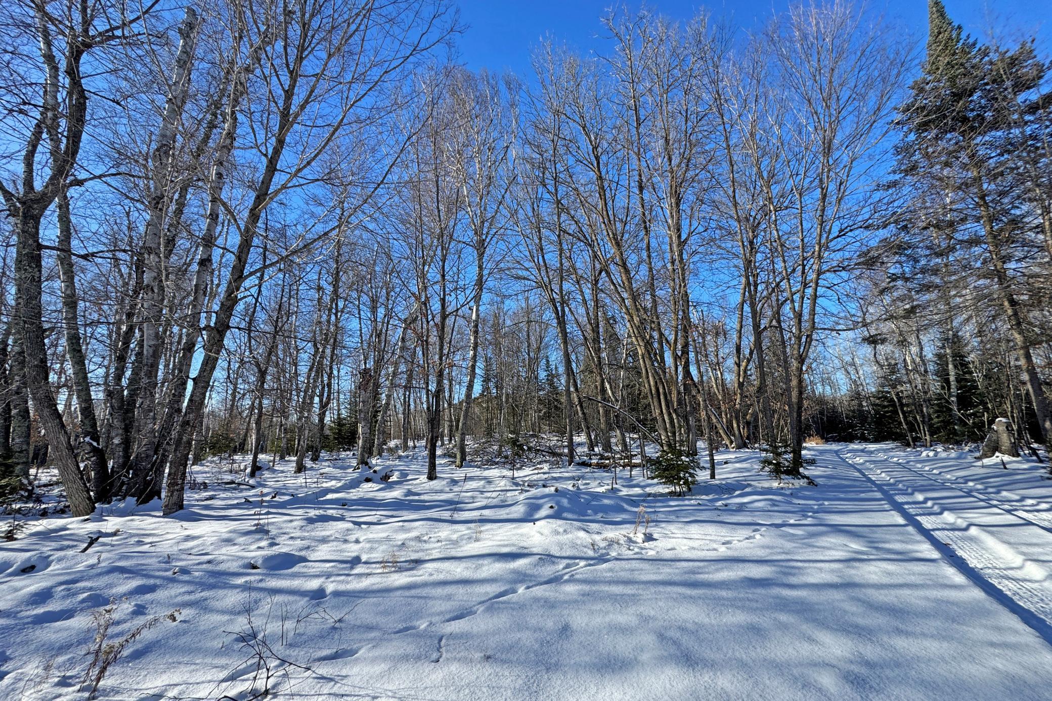 26810 North Hart Lake Road Pengilly, MN 55775 - Photo 27 of 69