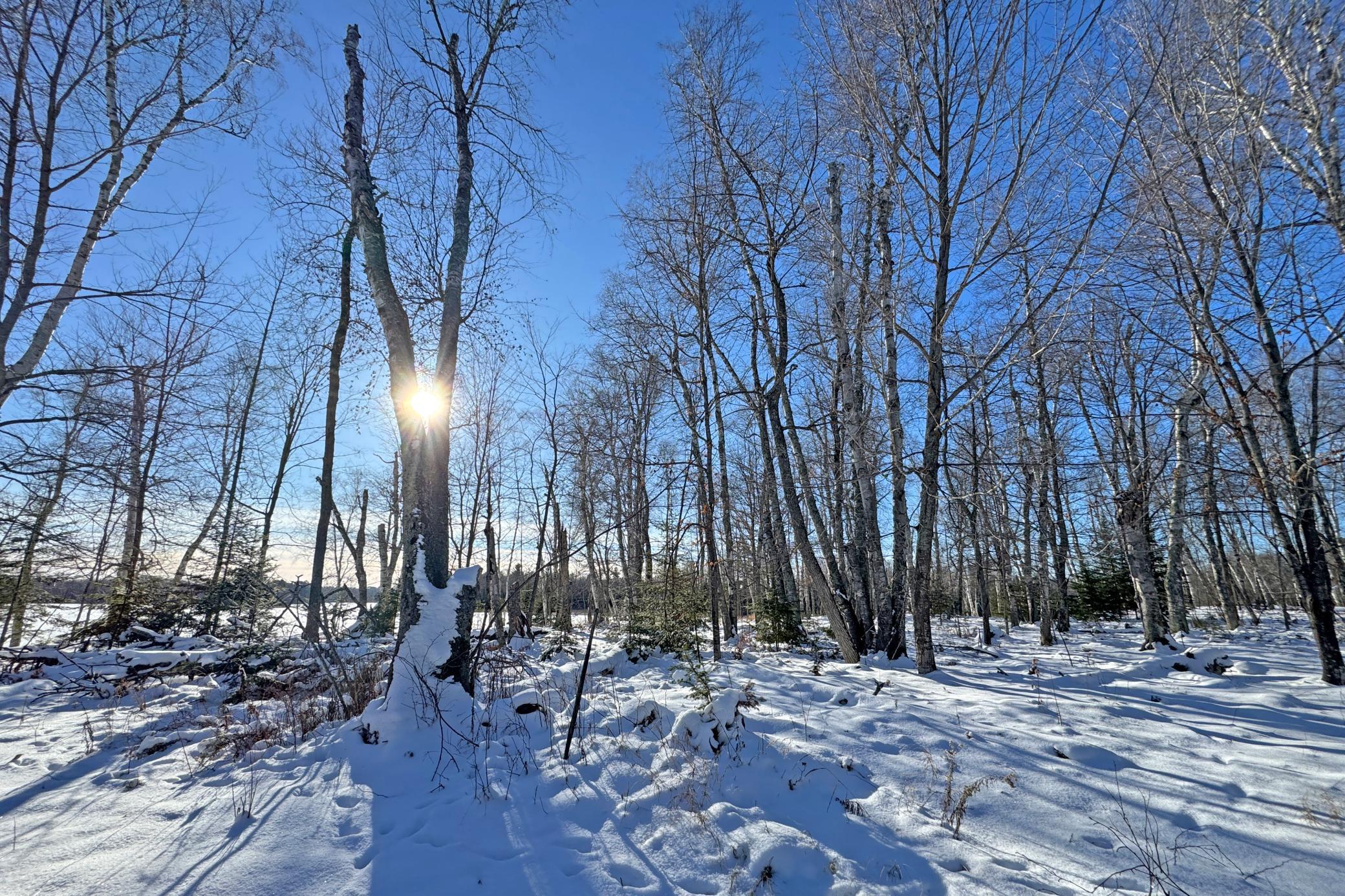 26810 North Hart Lake Road Pengilly, MN 55775 - Photo 28 of 69