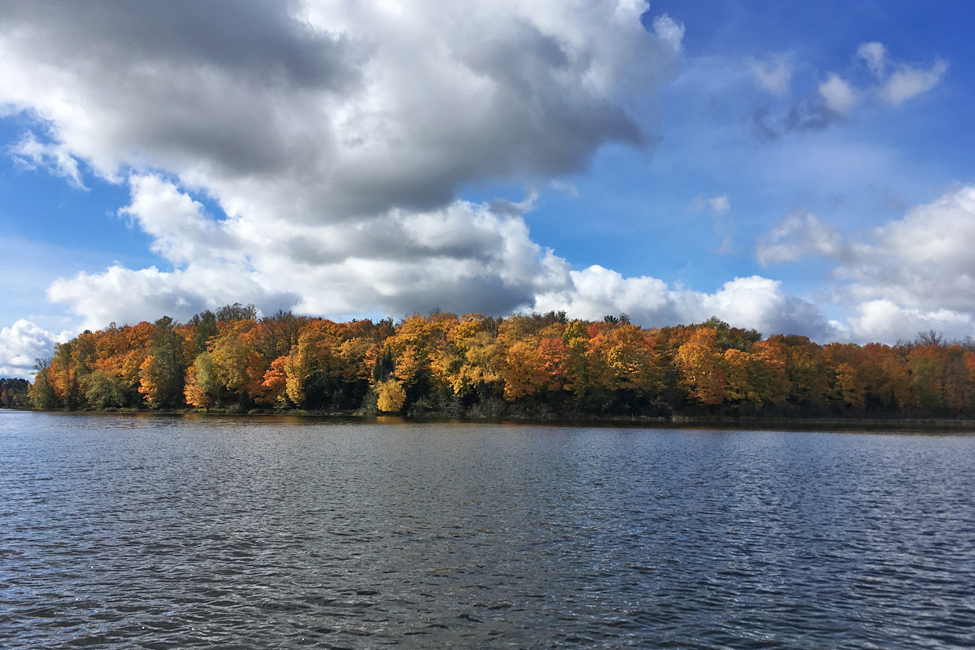 26810 North Hart Lake Road Pengilly, MN 55775 - Photo 34 of 69