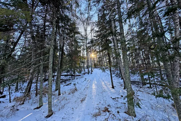 $680,000 | 26810 North Hart Lake Road, Pengilly, MN 55775
