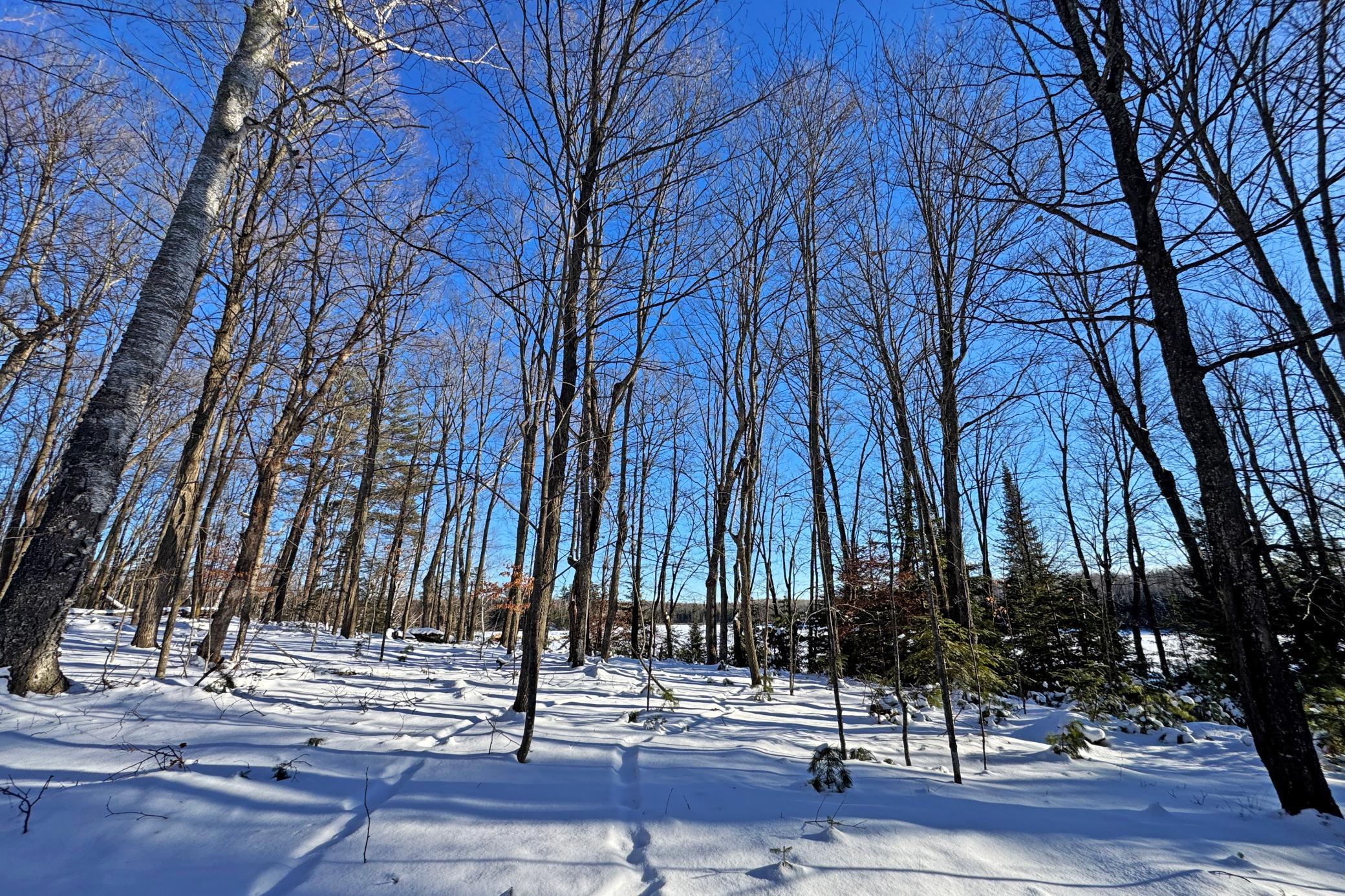 26810 North Hart Lake Road Pengilly, MN 55775 - Photo 59 of 69