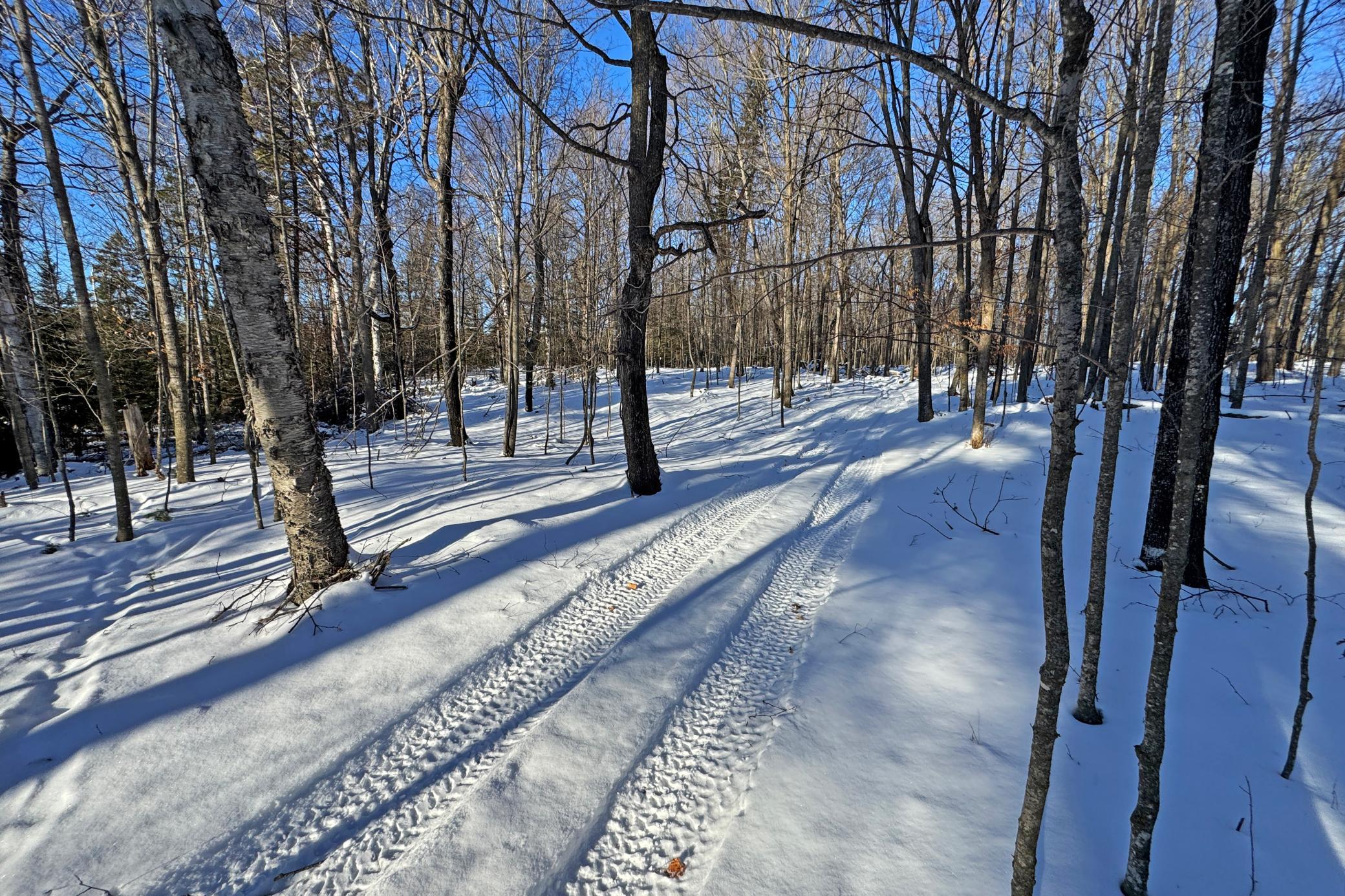 26810 North Hart Lake Road Pengilly, MN 55775 - Photo 60 of 69